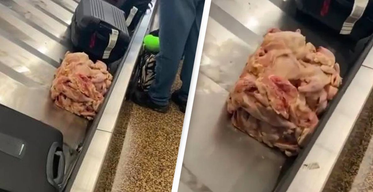 SickChirpse's tweet photo. A gross cube of raw meat ended up on an airport carousel https://t.co/2NbDaBdXoP https://t.co/He3FmLVZpM