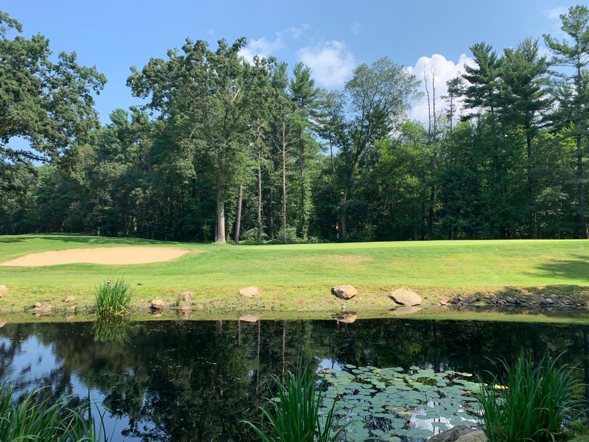 WindhamClub's tweet photo. Windham Weekly Updates - https://t.co/LheEP5ABP0 https://t.co/lW1UebLoWa