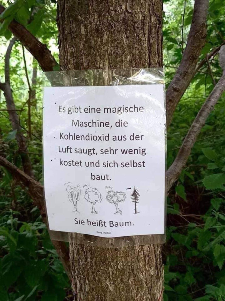 Ich hätte da einen total innovativen Tip für Herrn Lindner....#wiegehtsdeutschland