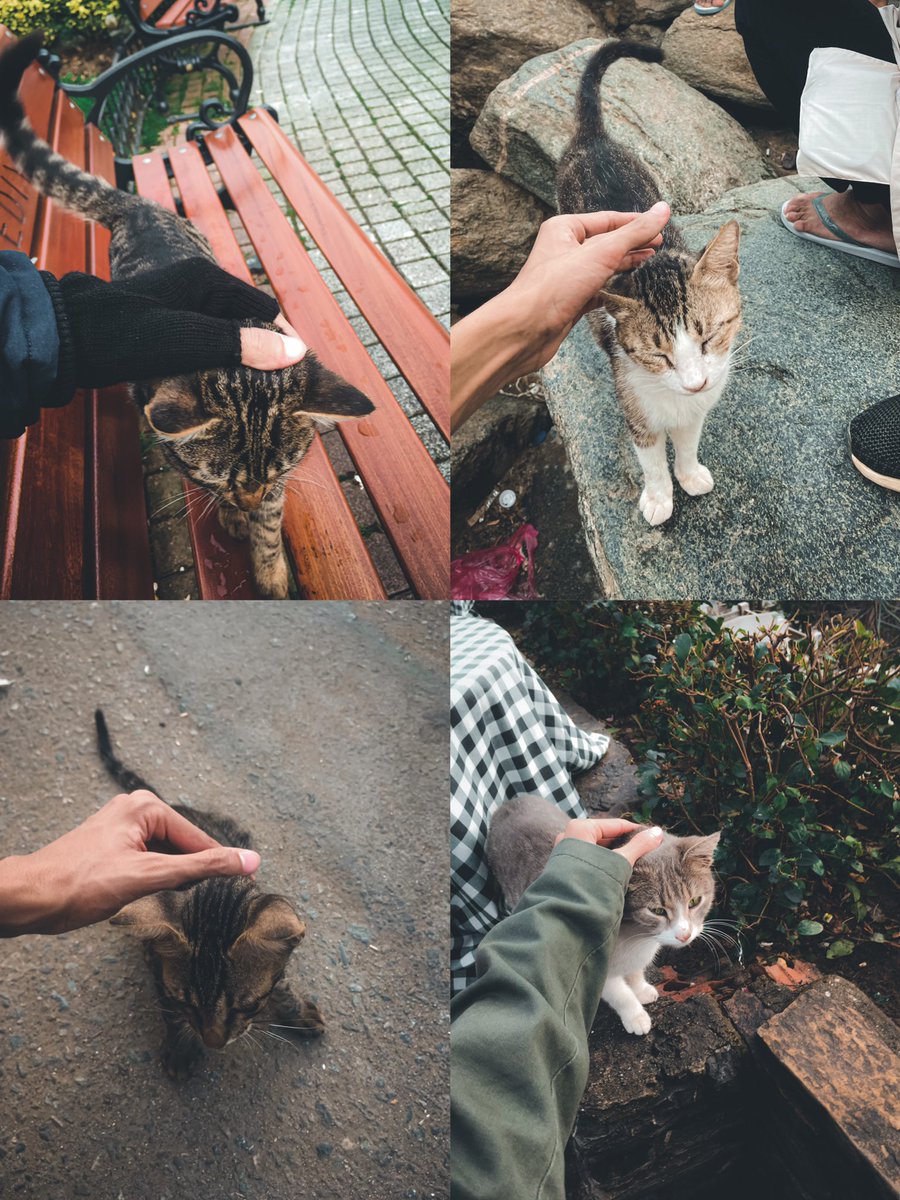 لحظات حُبْ.