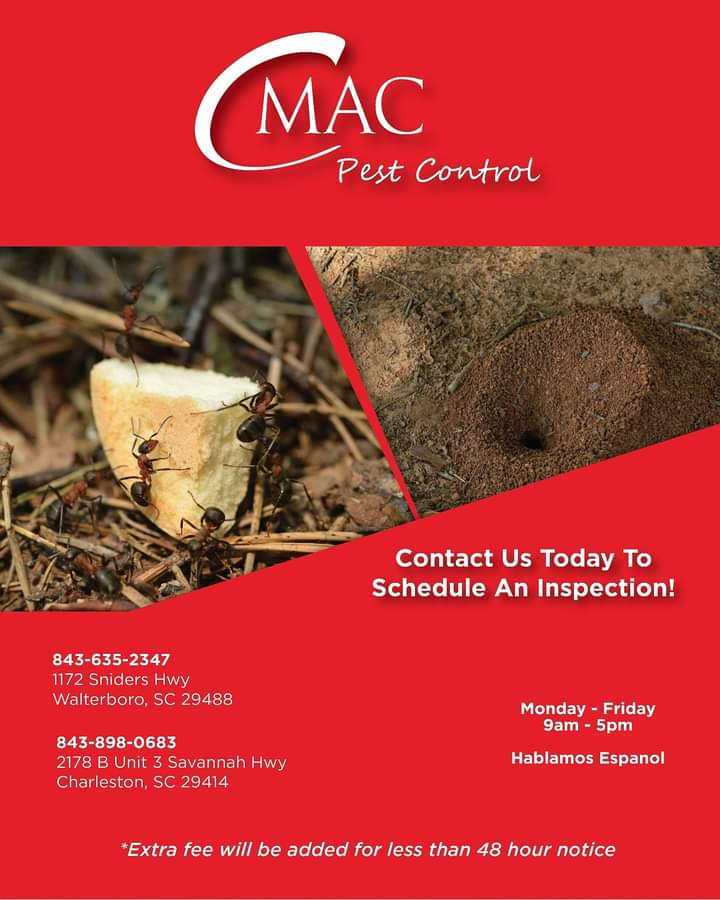 CmacPest's tweet image. 