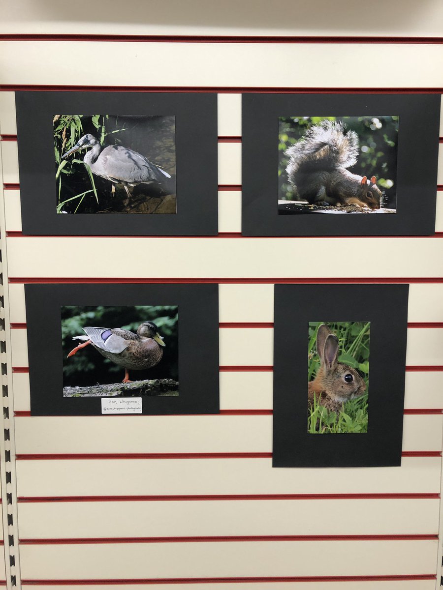 Cue the Take Hart music….our young people’s art exhibition will be on display at the #100DaysTogether shop in Eastgate Centre #Gloucester