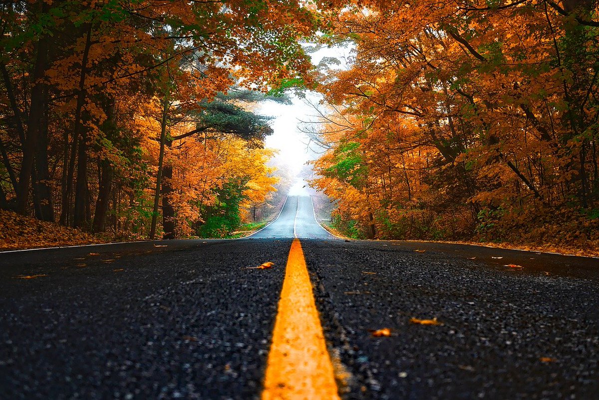 CompassMI's tweet image. Why Autumn Is The Best Time To Buy Or Renew Car Insurance - ow.ly/q23y50G0USE
.
.
#AutumnRide