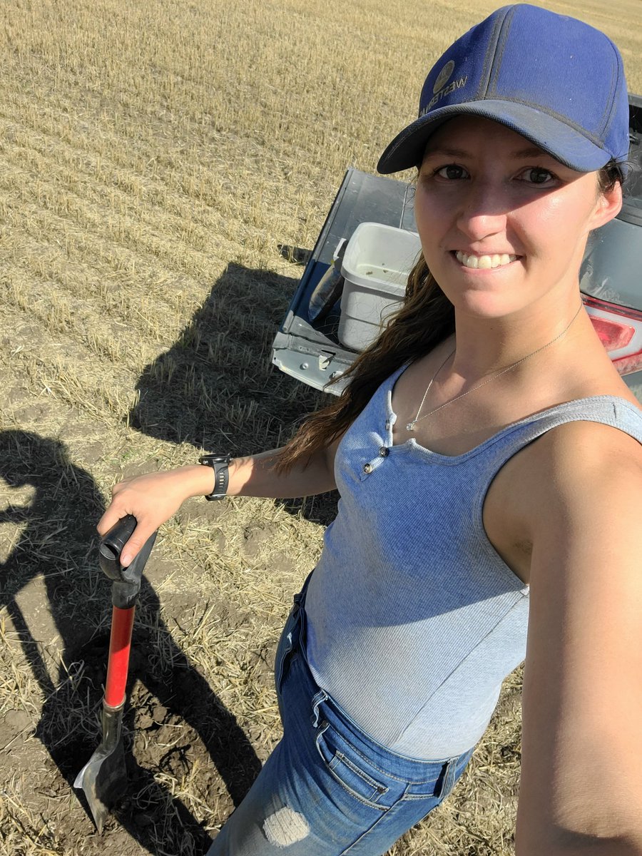 Not to early to start planning for next year, with crop plans and booking fertilizer. Started soil sampling this week to get an accurate report of plant available nutrients. Sampling is a valued investment to your next crops yield potential while factoring in economics.#westernag