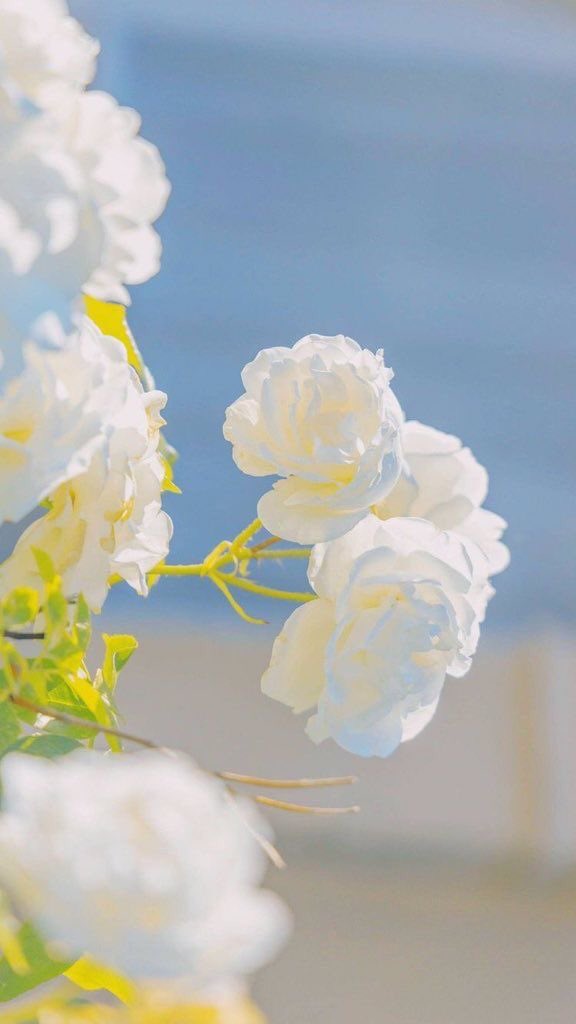 จอลอ⁴⁴ ♡ D – 5 tweet media