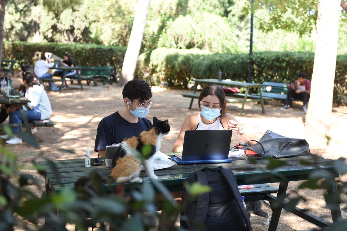 American University of Beirut tweet media