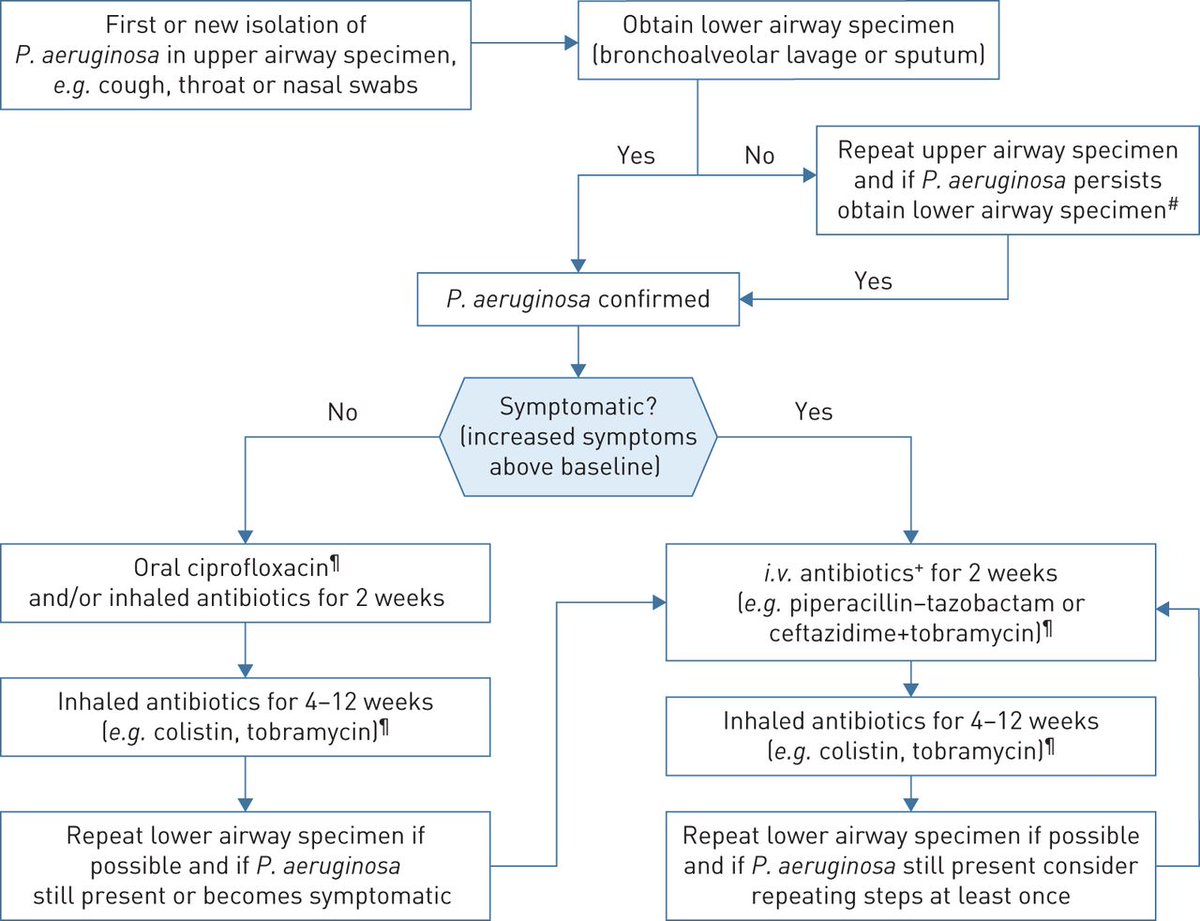 Optimal management of children with bronchiectasis is important. This ERS evidence-based guideline, developed by a multidisciplinary team along with parents of children with bronchiectasis, aims to help clinicians optimise the management of bronchiectasis. bit.ly/3pvZ9Yi