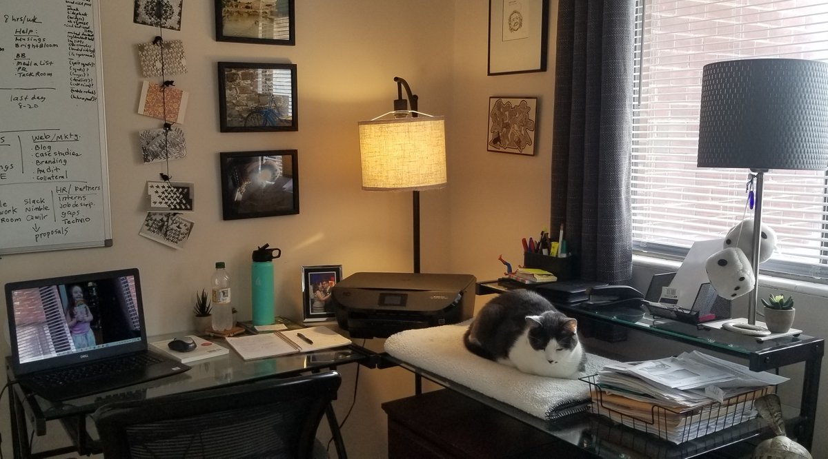 blueblazenews's tweet photo. We're going behind the scenes to see where the Blue Blaze team does their best work. Here's a peek at Content Marketing Specialist and Project Manager Cara Imperato's workspace, including an ergonomic chair, assistant Kit Kat, and water bottle.
#workingfromhome #homeoffice https://t.co/11Qv1wz2oq