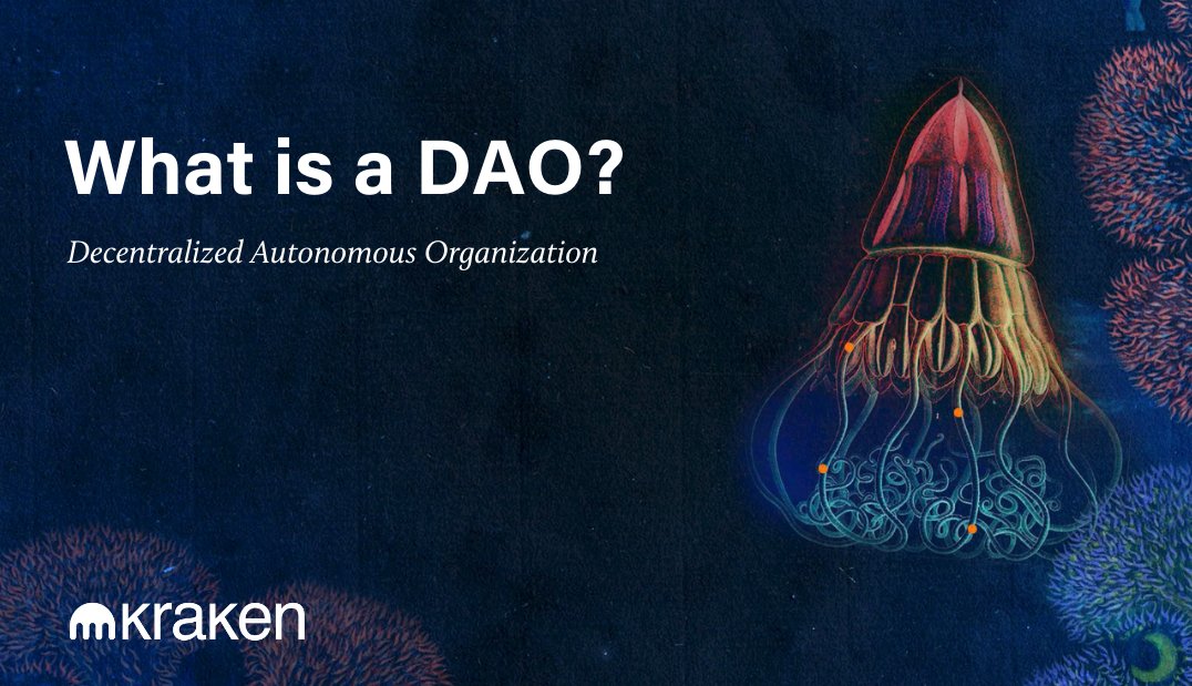 krakenfx's tweet image. Read the beginner’s guide to DAOs:
⚙️ How they work
✨ What they are used for
🗳 DAO governance

kraken.com/learn/what-is-…