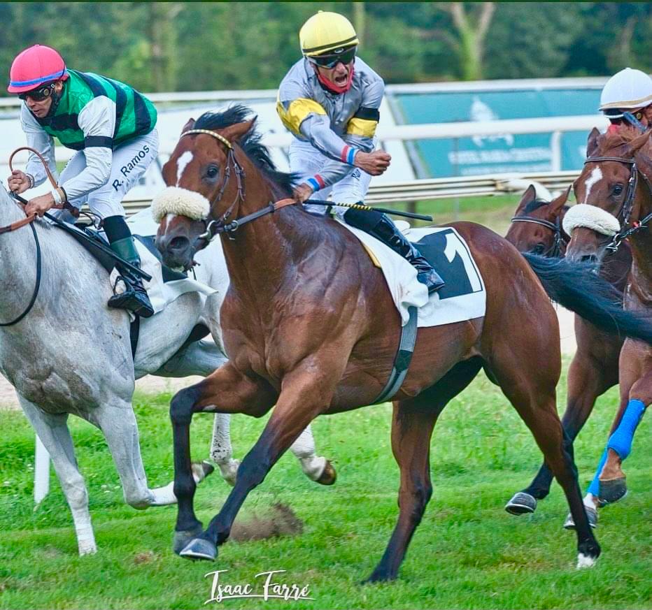 RECORDER ⭐ First 2yos in 2021
NEW VICTORY!
El Ojancano, Criterium Internacional at San Sebastian (ES)
👉🏻 Sold €11,000 at the Arqana Sales by Normandie Breeding

<a href="/InfoArqana/">ARQANA</a>  <a href="/normandiebreed1/">NormandieBreeding</a>  
#raceandcare #courseshippiques #horseracing  #pursanganglais