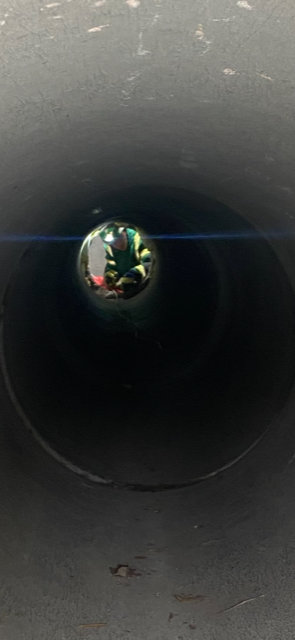 Ian J 💙 tweet media