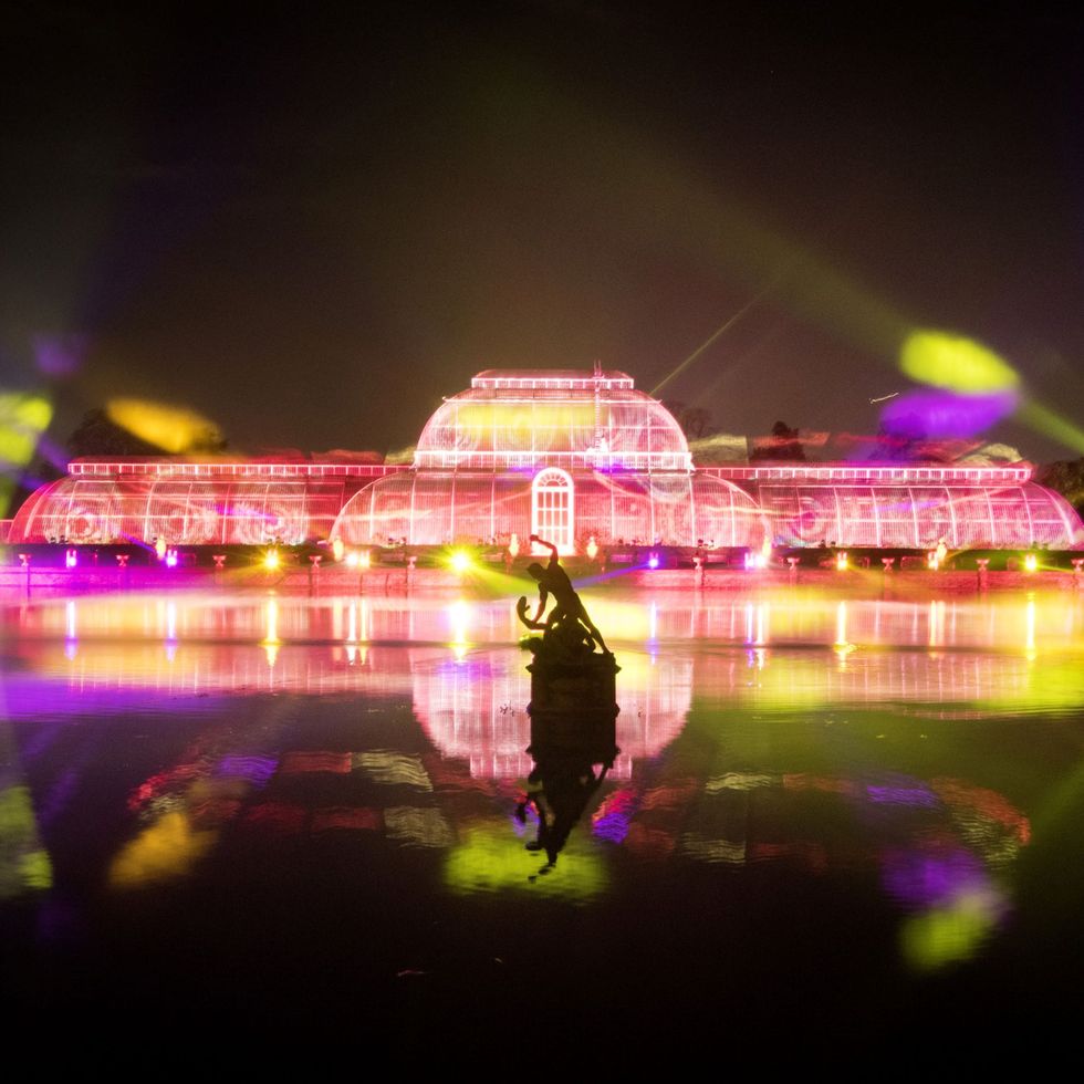 Visual_Displays's tweet photo. New installations for Kew Gardens Christmas feature innovative video design and scenescapes inspired by Kew collections > https://t.co/TvNdOtsrjc 🎅🎄
#AVinstallations #LEDlighting #Video #ProjectionMapping https://t.co/i3cgpAtmiP