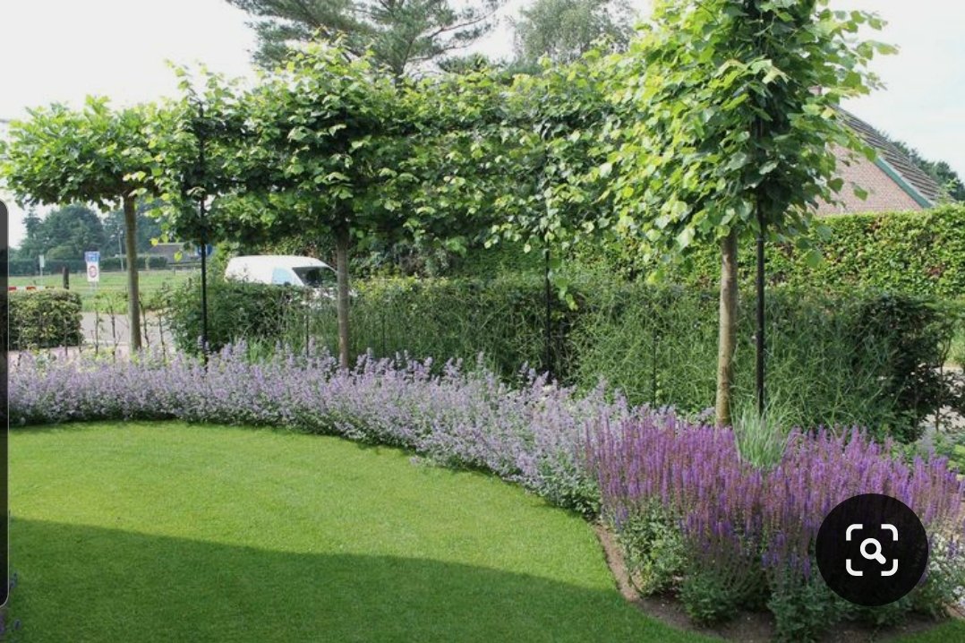 متخصصون في تنسيق و تصميم الحدائق ،ثيل طبيعي و صناعي،شلالات صناعية. 

"كما يوجد لدينا جميع أنواع الأشجار والزهور "
امنحنا ثقتك ولا تتردد في التواصل معنا
0563731399

#الخبر 
#مطار_ابها_الدولي
#ولي_العهد_الامير_محمد_بن_سلمان