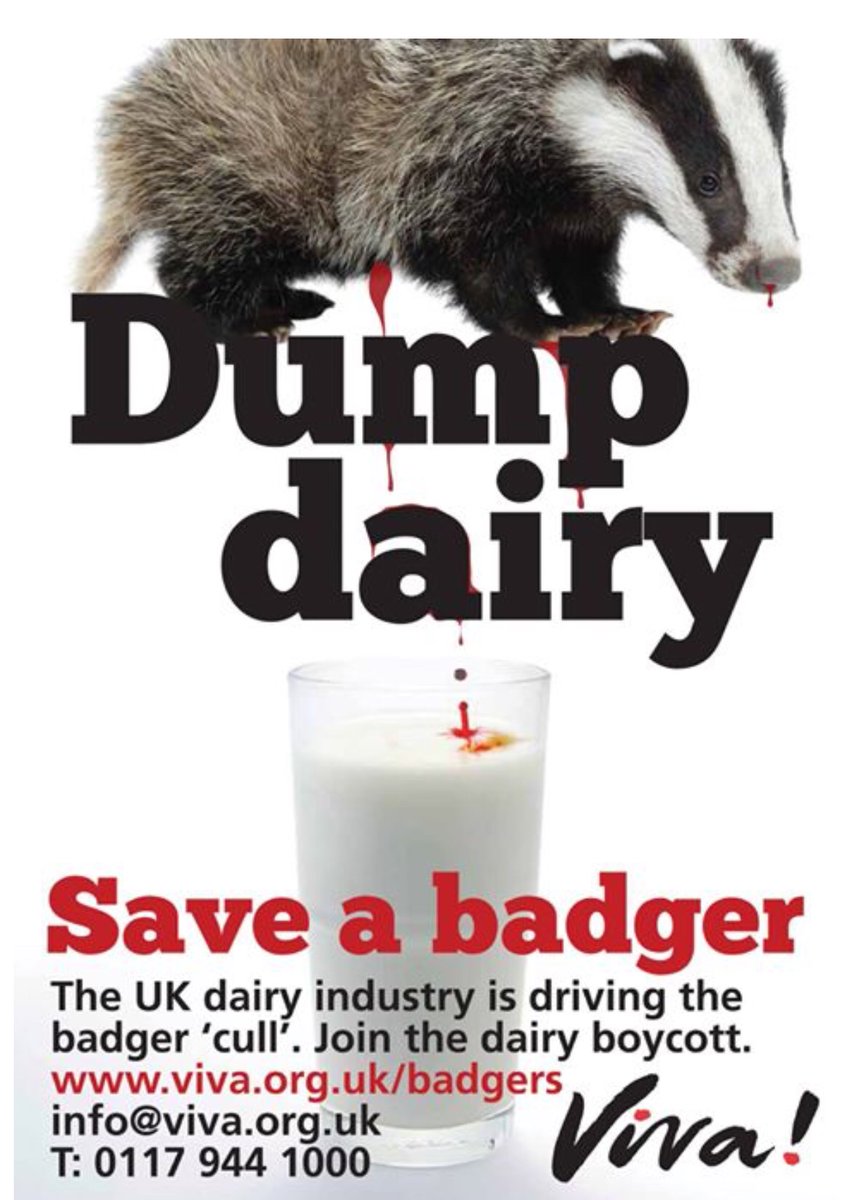 @ChrisGPackham @nannybirds @DefraGovUK And #BoycottDairy which is responsible for this travesty and the thousands of badgers killed 🤬💔😢