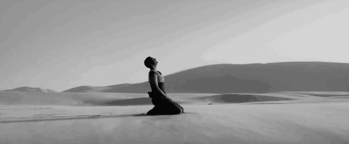 MAD MAX: FURY ROAD (2015) 

Cinematography by John Seale 
Directed by George Miller
Read more about black and white special editions: ops.fyi/2YYM92O