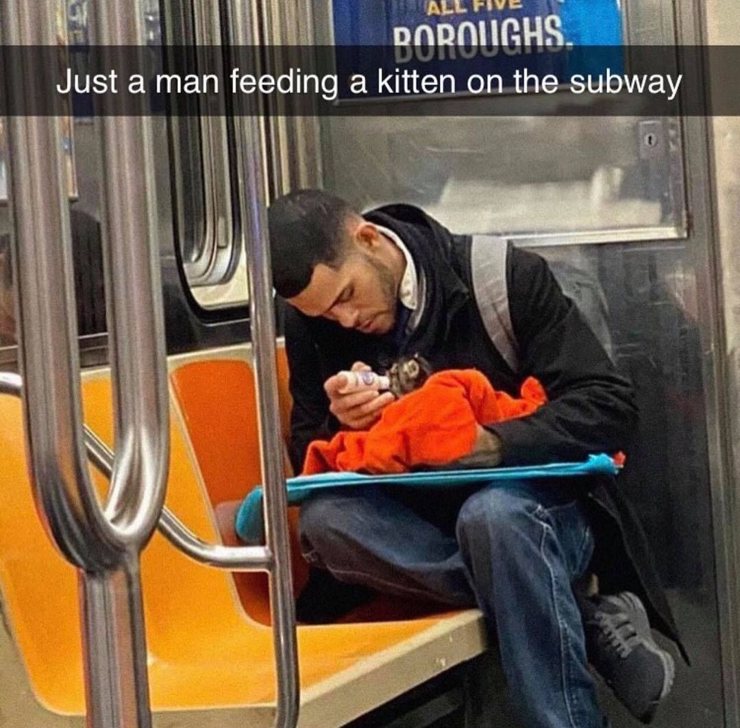 WholesomeMemes (@wholesomememe) on Twitter photo 