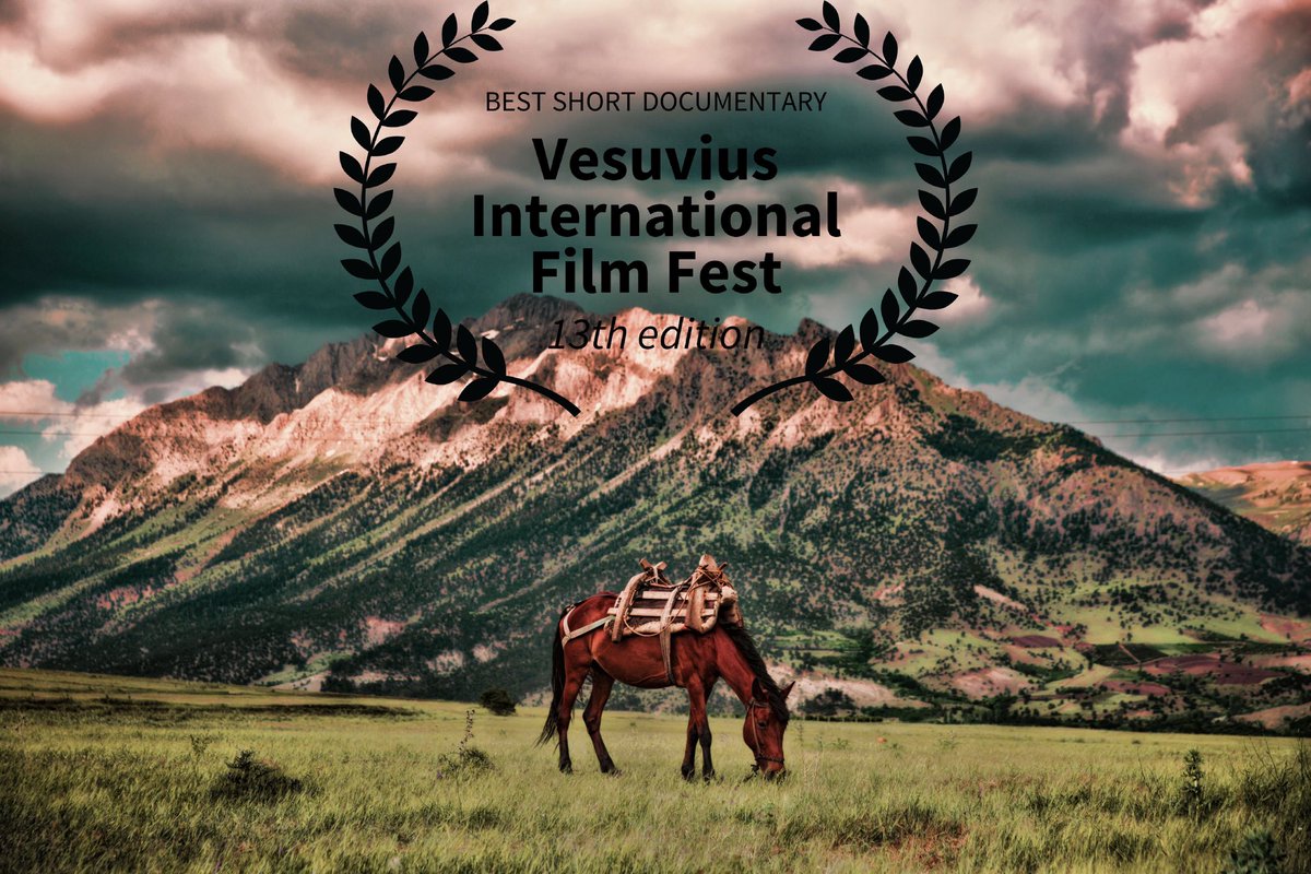 seyfeddinerisen's tweet photo. Donkey’s Tailor has gained “ Best FirstTime Director “ in category of Best Short Documentary from Vesuvius Int. Film Fest 
Thanks🙏🏽🙏🏽🙏🏽 🏆 via  @FilmFreeway #FilmFestival #festival #awardwinner #bestfirsttimedirector #filmaward #Awards #awardwinner #shortdocumentary #Filmmaker https://t.co/AFrfJZzszQ
