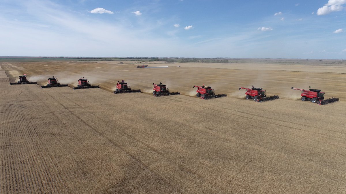 eric_hanmer's tweet photo. Trying to finish the hard res wheat before rain in forecast.  #ACCAlidaVB performed well considering the drought conditions.  @SeCan @Case_IH @MacDon @SynergyAG https://t.co/QusTuORd42