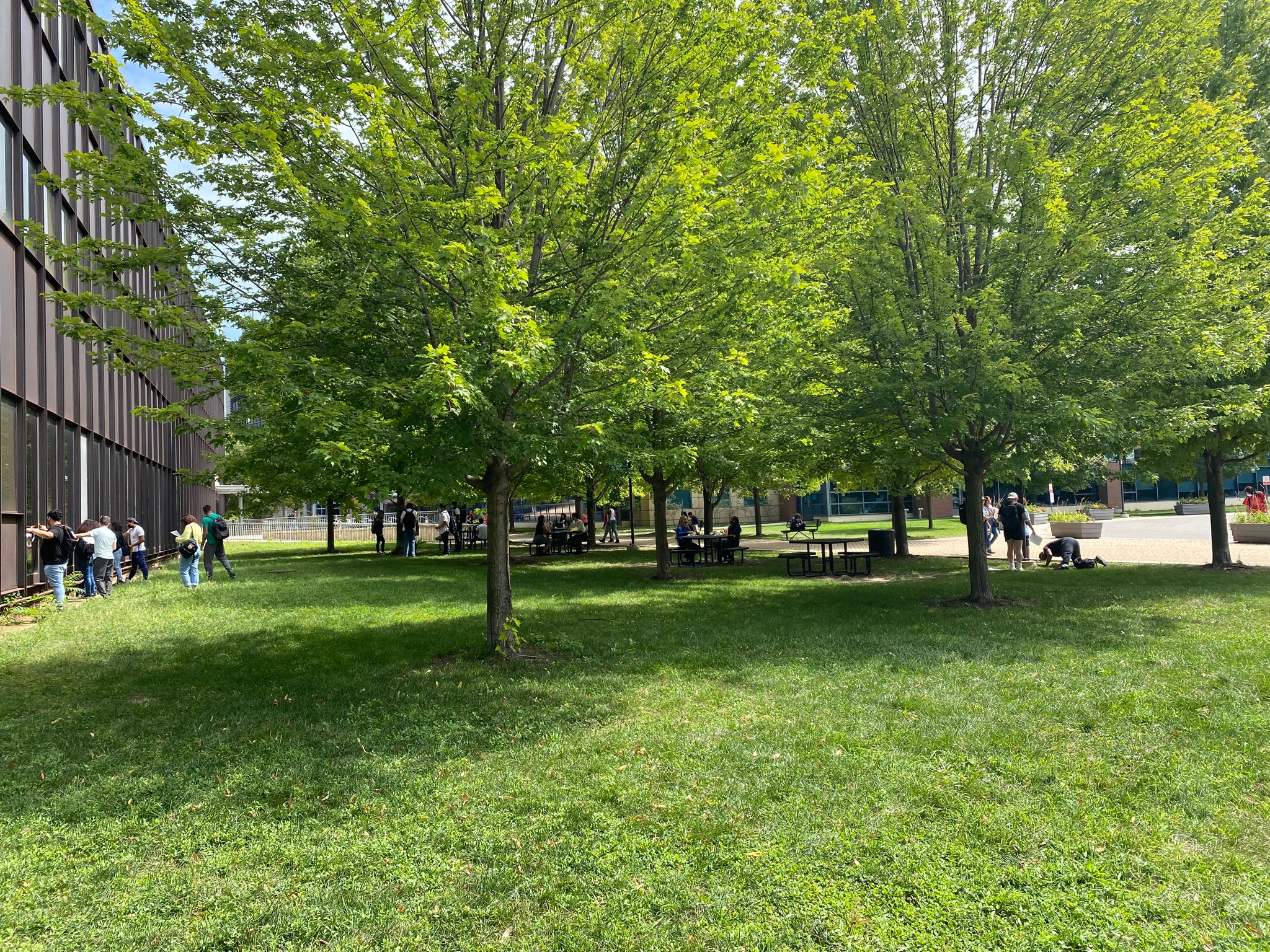 Truman College Athletics (Trumanfalcons) / Twitter