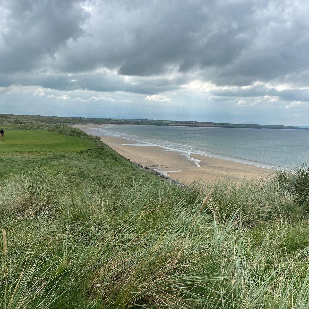 Bryan Mudryk tweet media