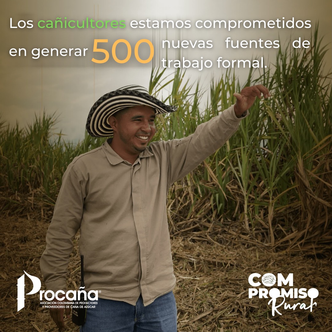 ProcanaCol's tweet photo. Los cañicultores estamos comprometidos a aportar a la construcción de una mejor región, generando 500 nuevas fuentes de trabajo formal para hombres, mujeres y jóvenes mayores de 18 años.
Conozca más información y vincúlese a #CompromisoRural en https://t.co/KPypdhTuBl
#Azucari https://t.co/2Ec45Qb0tF