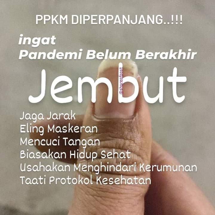 . tweet media