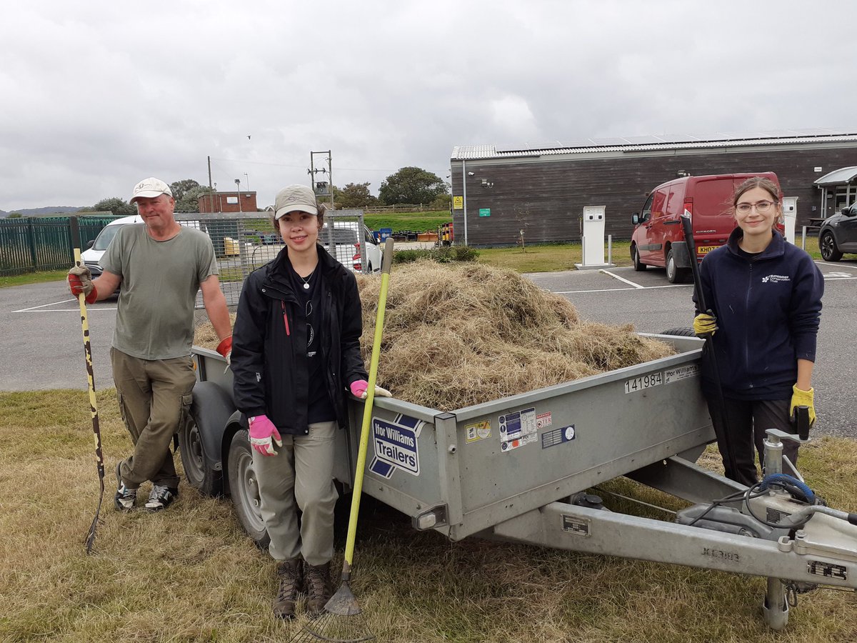 BuzzingSouthEast tweet media