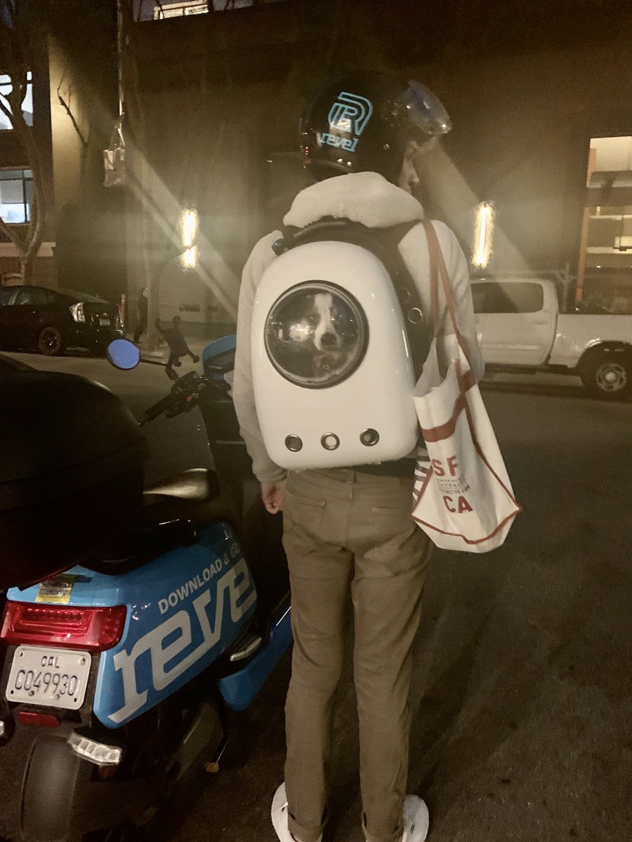 cookingcapsules's tweet photo. I spotted this guy last night in #SF with a must-have space age dog backpack. https://t.co/kwUHdFWIYs