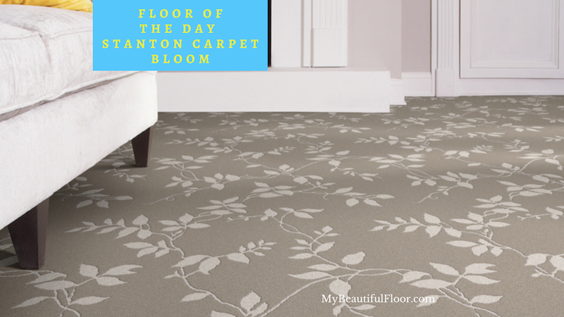 Better Carpet Leads Comeback
Floor of the Day – @stantoncarpet Bloom
bit.ly/2GGdWfV 
#flooroftheday #ihavethisthingwithfloors #Floorlove #homedecor #flooring #floors #carpet #carpetlove #mybeautifulfloor #homedecorflooring #healthyhomes