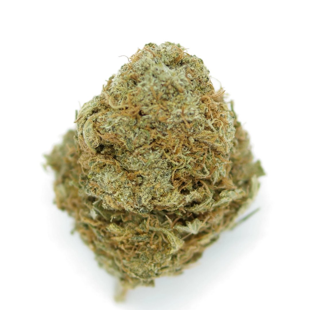 bloom_cannabis's tweet photo. Blueberry Pie 🥧 is the indica-dominant hybrid of two famous strains, Girl Scout Cookies and Blue Dream. 

#cannabisphotography #cannabiscommunity #weed #stoner #shrooms #smoke #indica #medicalmarijuana #weedlife #Toronto #Etobicoke #NorthYork #Scarborough #Vaughan #Markham https://t.co/YdJBPd2zeC