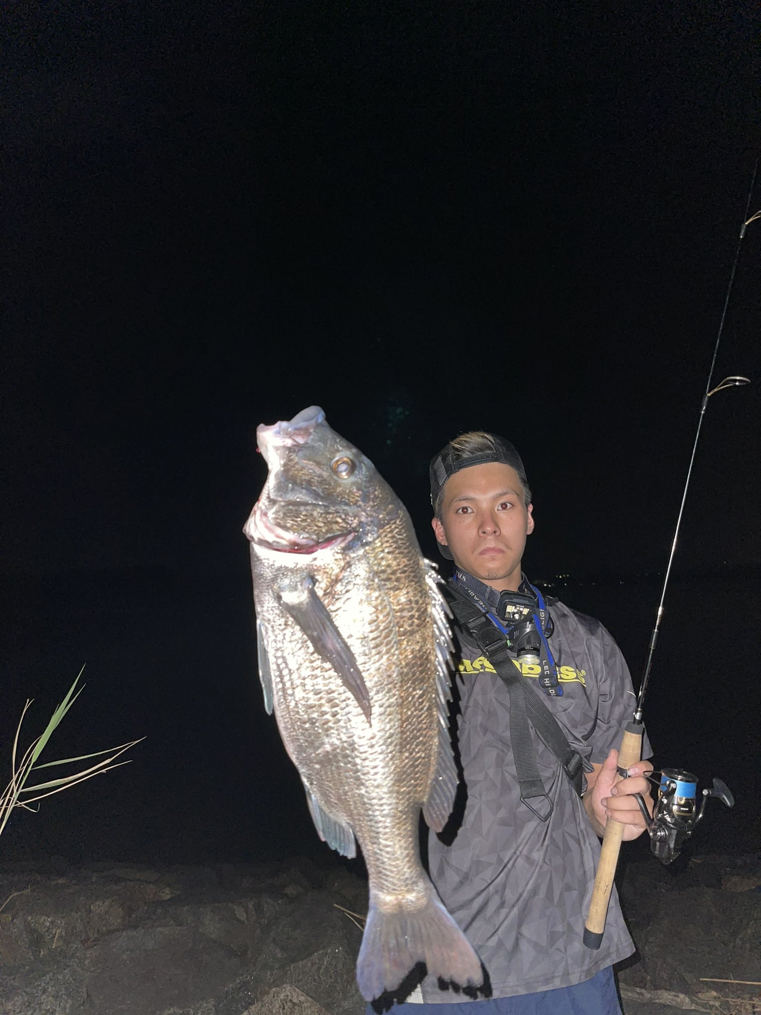 Tomoki 体高ナイスなチヌ 浜名湖 奥浜名湖 釣りが好き 釣り 心を燃やせ T Co Jsbrb2xk66 Twitter