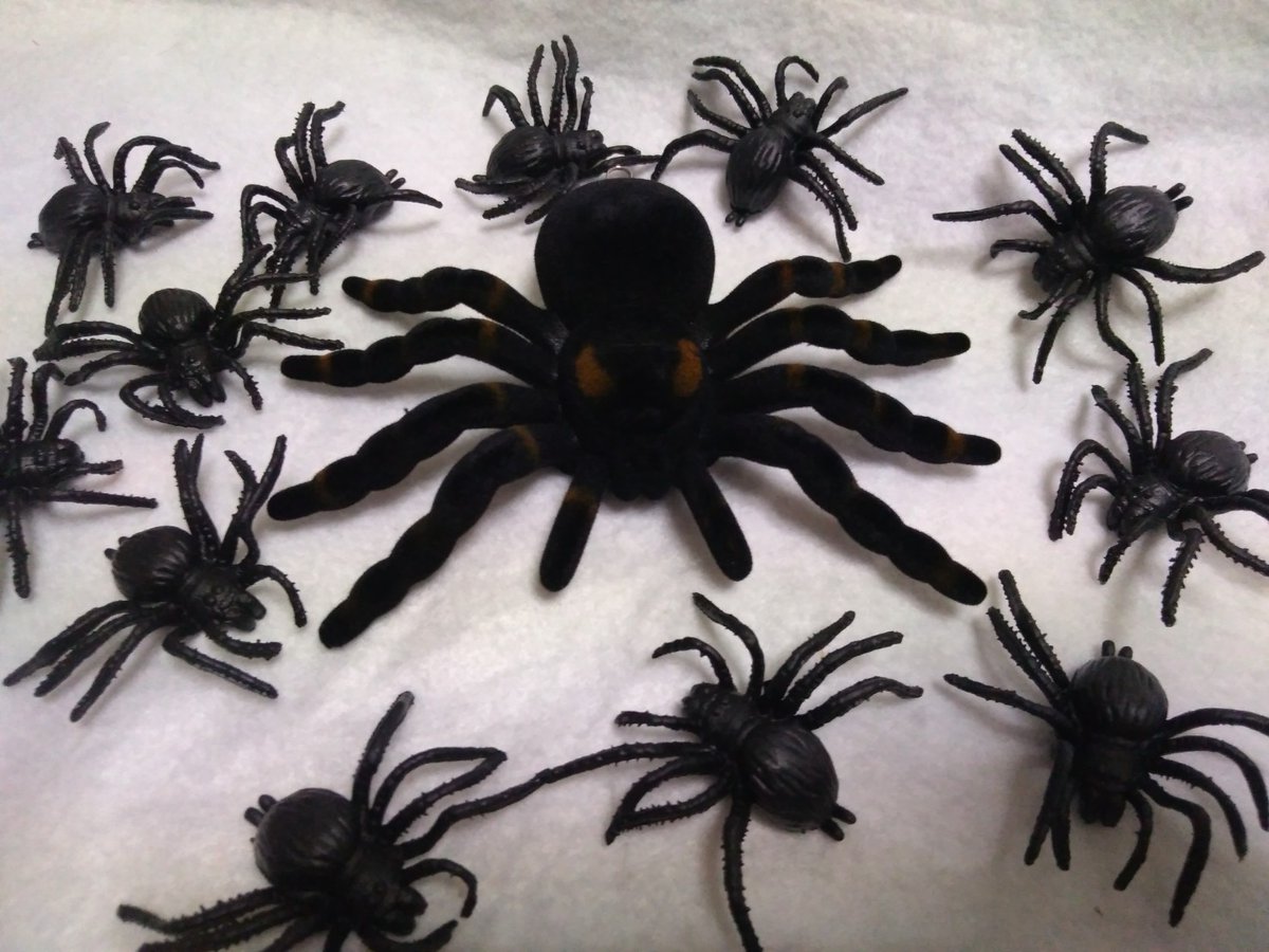 Kimif ハロウィン リアルオブジェ タランチュラ まぁそんな事よりでかいクモの玩具として十分遊べるのです 1枚目はダイソーのクモのセットたちと 裏面もそれなりにモールドがあるし よく見ると顔がある