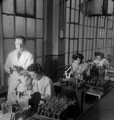 Хоторнский эксперимент мэйо. Хоторнские эксперименты. Э эксперименты. Веселые опыты. Хоторнские эксперименты э мэйо.