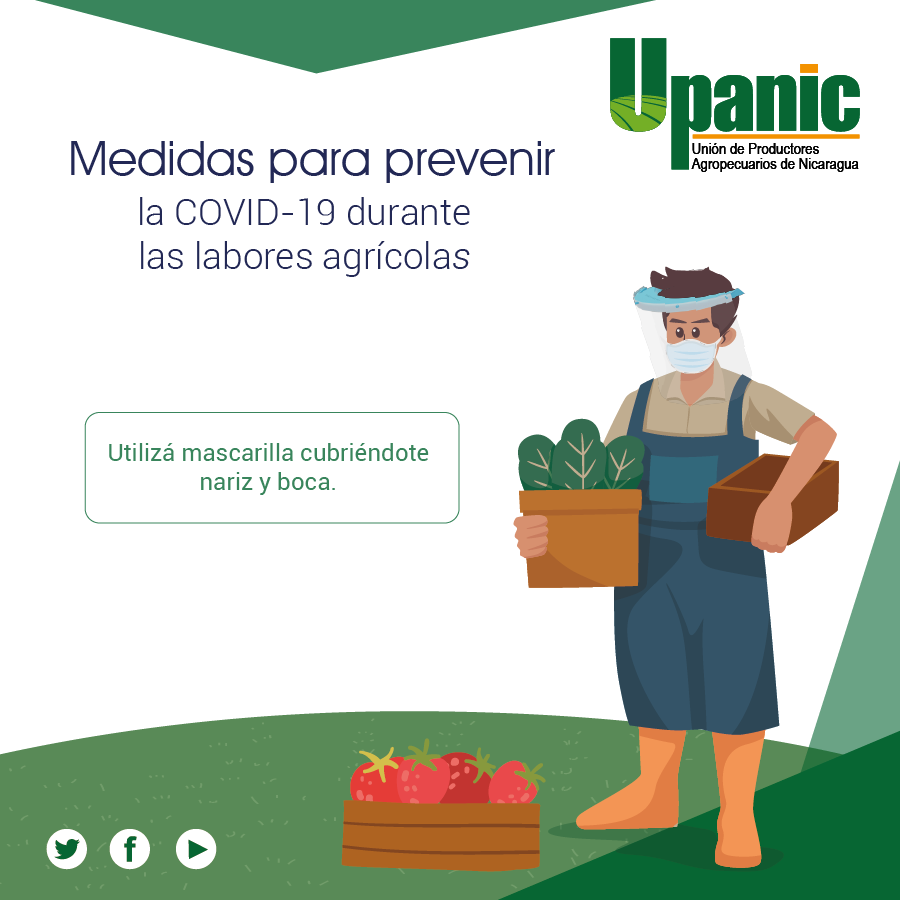 UPANIC tweet media