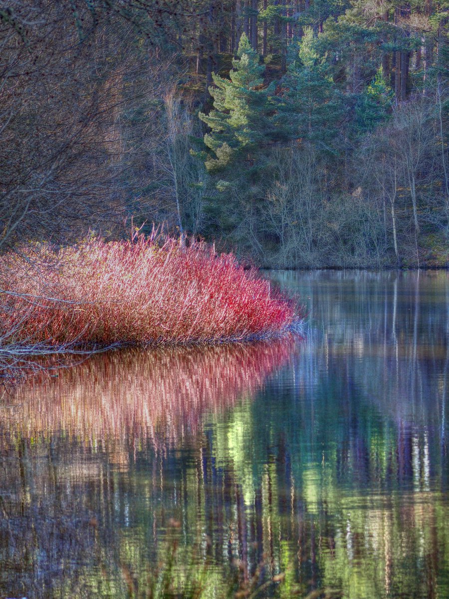 OBT imaging (@ourbesttimes) on Twitter photo Even in Winter There Is Colour and Light, don't worry about summer coming to a close...
#PositiveVibes #Mindset #mindfullness #future #Hope #Pink #lake #quotes #friend #Writer #Happiness #new #selfcare #MentalHealthMatters #Emotions #you #US Even in Winter There Is Colour and Light, don't worry about summer coming to a close...
#PositiveVibes #Mindset #mindfullness #future #Hope #Pink #lake #quotes #friend #Writer #Happiness #new #selfcare #MentalHealthMatters #Emotions #you #US