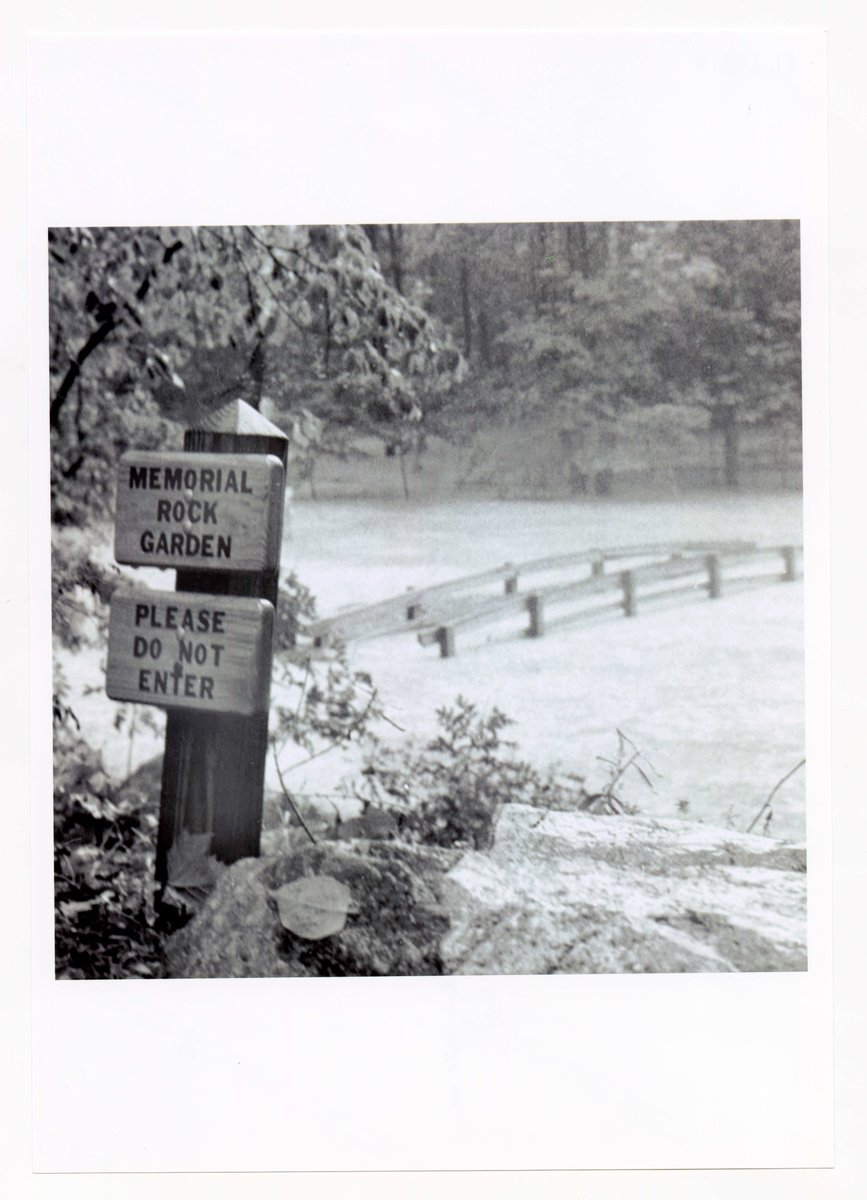 JMU Special Collections tweet media