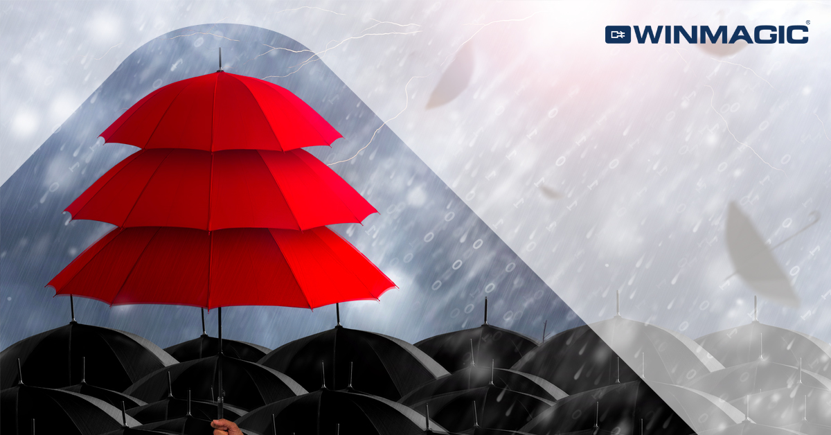 WinMagic's tweet image. #SecureDoc File Encryption (SFE) offers comprehensive Full Disk Encryption with an additional layer of security

Learn more about how SecureDoc Enterprise Server can enhance the integrity of your organization’s security: bit.ly/3uh0CnY

#DataSecurityStartsHere #FDE