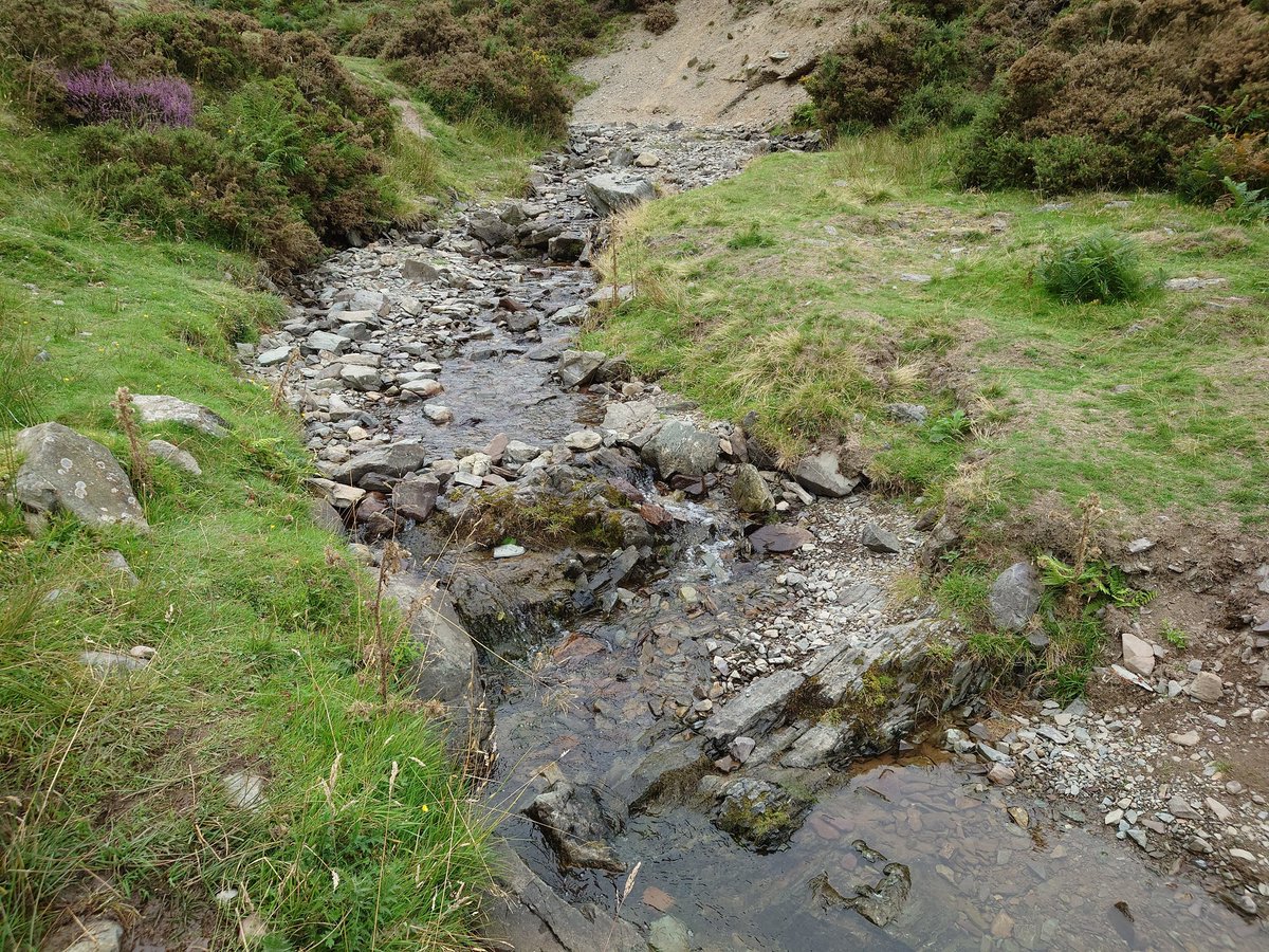 Sami Bhai 🔻 tweet media