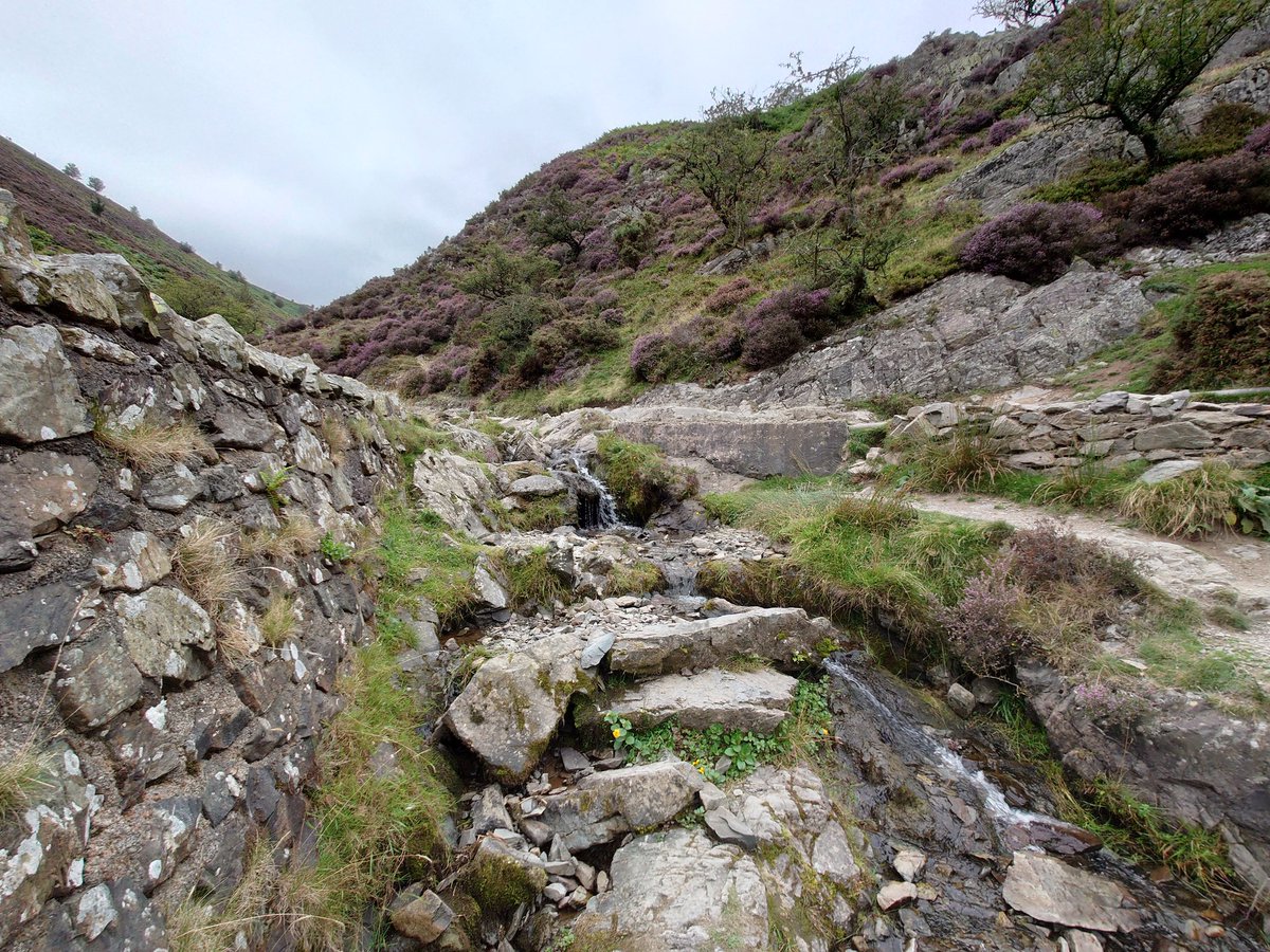 Sami Bhai 🔻 tweet media