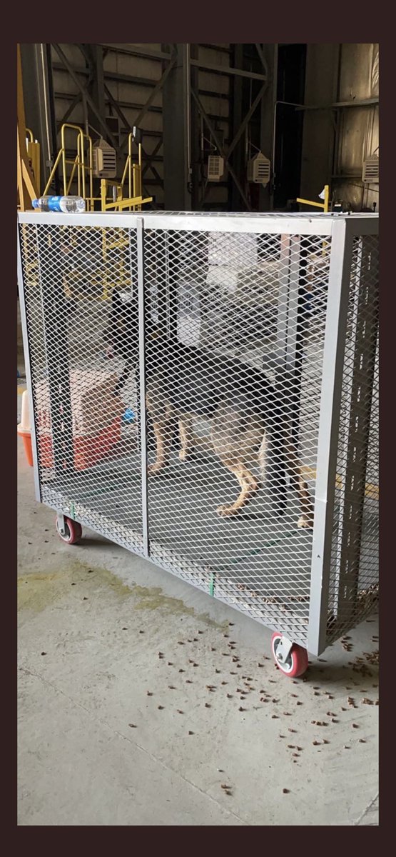 K9Finn's tweet photo. We don’t know them but we sure as hell owe them🐾 https://t.co/qkHc7dX2Vi