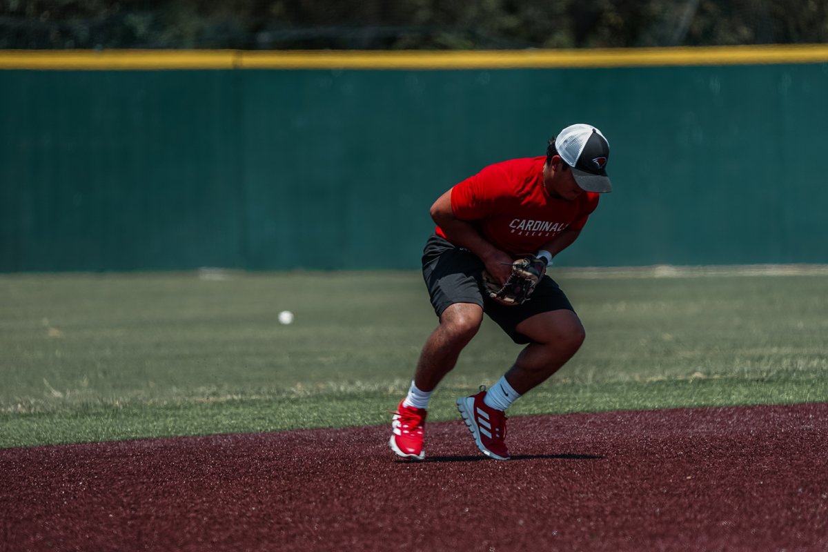 UIWBaseball's tweet photo. Fall vibes ⚾️ 

#TheWord | #HeadsDownWordUp https://t.co/AUMXlZKQiY