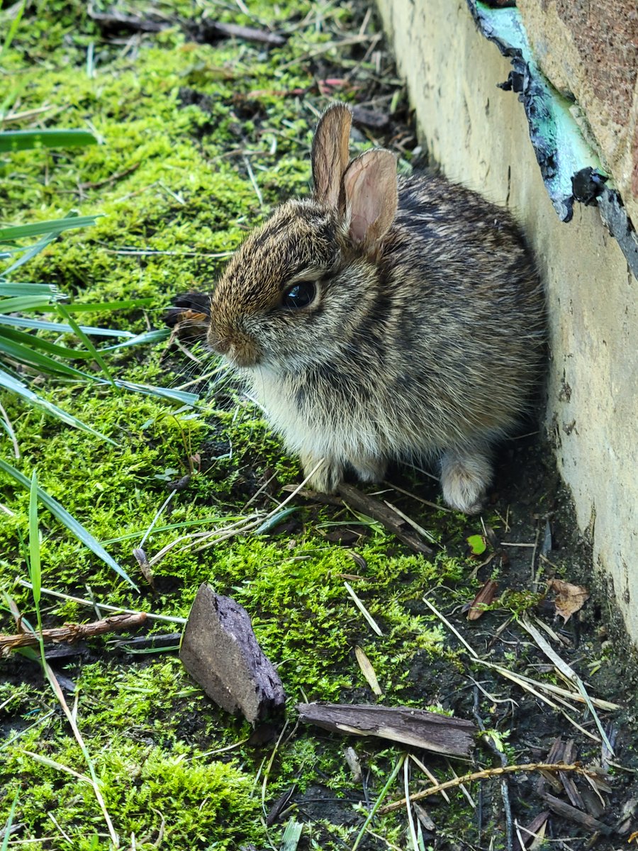 Quinn (they/them/theirs) tweet media