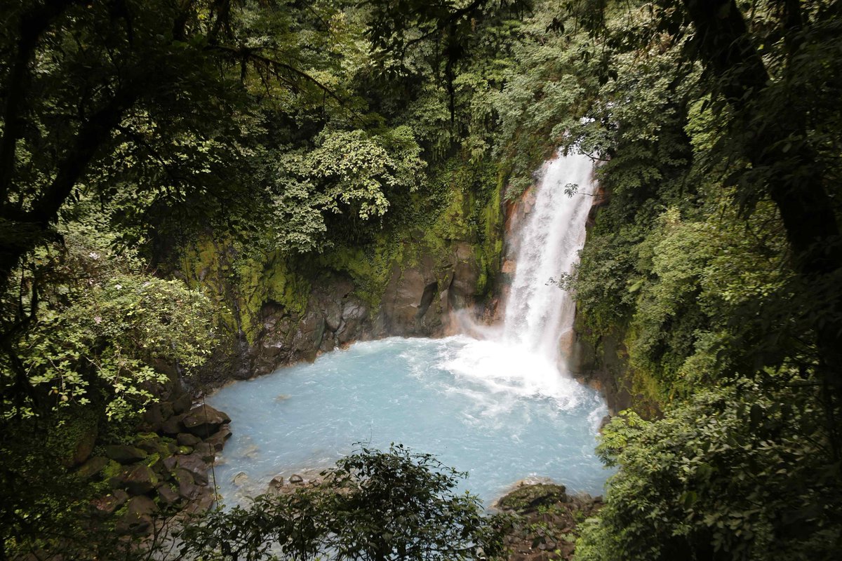 Costa Rica lanzó la aplicación Naturaleza Mágica, una herramienta que busca fomentar las visitas a las Áreas Silvestres Protegidas del país, así como reactivar la economía de las comunidades locales.

La iniciativa busca brindar información accesible y actualizada. #TVV 

📸 EFE