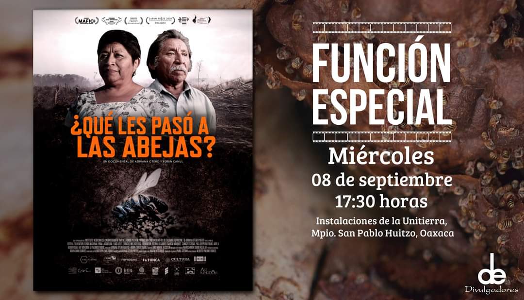 DivulgadoresDe's tweet photo. #TomaNota Este 08 de septiembre continúa el ciclo de proyecciones del documental "¿Qué les pasó a las abejas? - Película"🐝🎬 en Instalaciones de la Unitierra, San Pablo Huitzo, Oaxaca. ¡Ahí nos vemos! 😉🐝
#DeDivulgadores
#AbejasCine 
#ArteParaLasAbejas 
https://t.co/ICzlDtEMnY https://t.co/zuGaKeGKmT