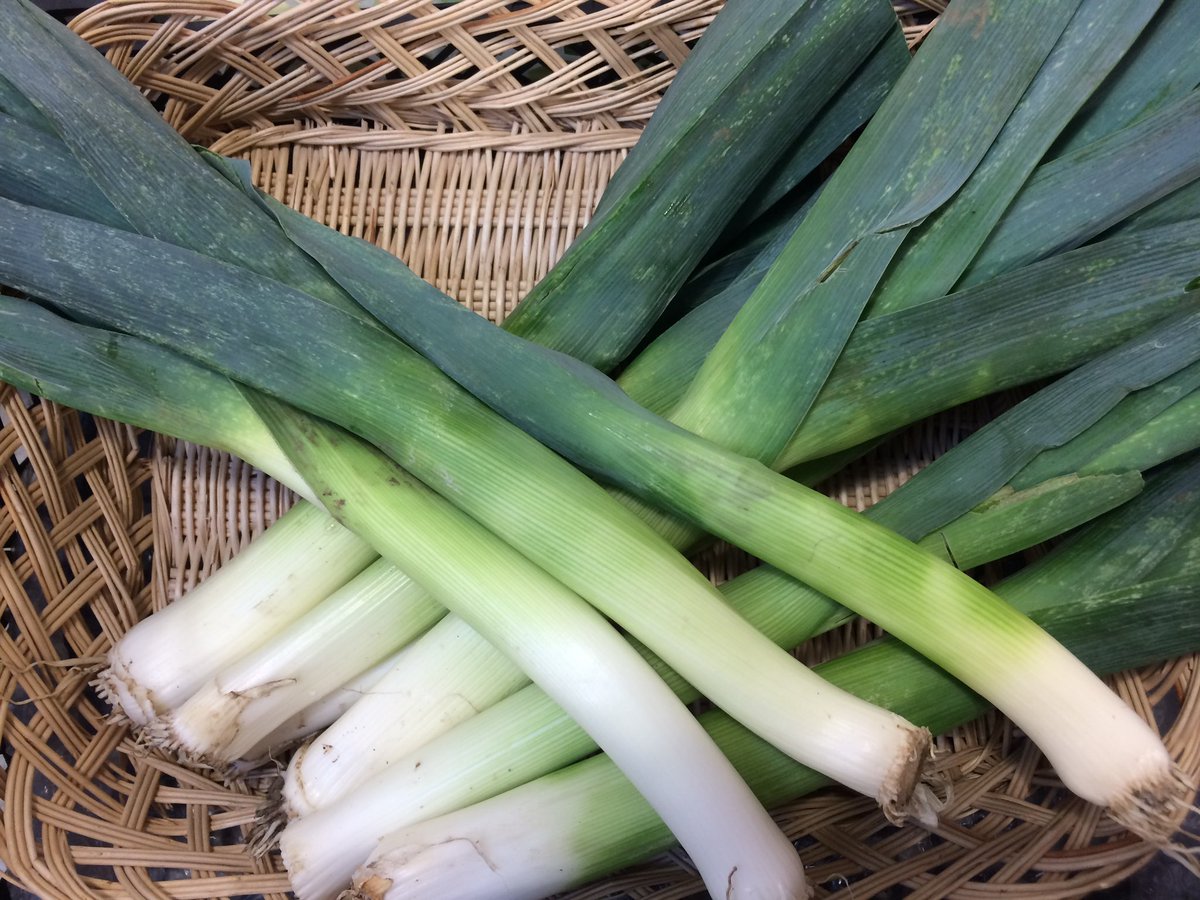 Bushelbox's tweet image. Can&apos;t believe it&apos;s the last day of summer &amp;amp; what a scorcher it&apos;s  been! 😂😭. Thankfully we&apos;ve a tasty selection of hearty seasonal veg, incl new season leeks, onions, parsnips &amp;amp; various cabbages for all those casseroles, roasts &amp;amp; soups #Autumn #ShopLocal #Farmshop #SmallBiz