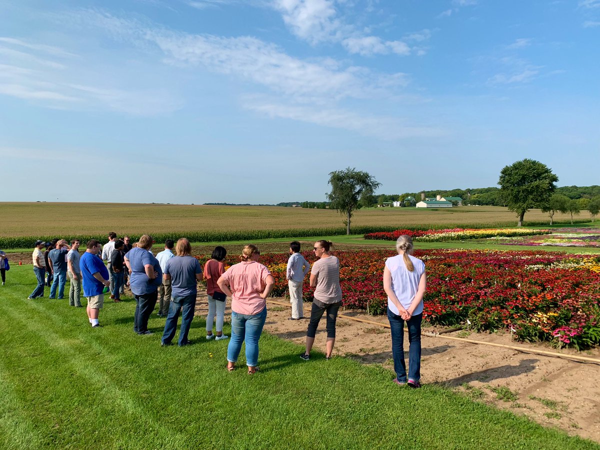 Ball Helix tweet media