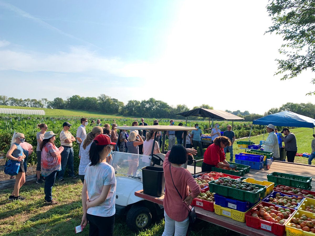 Ball Helix tweet media