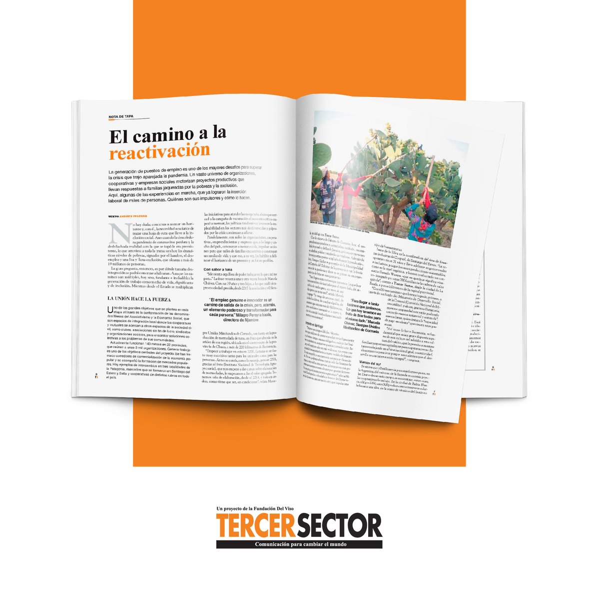 Revista Tercer Sector tweet media