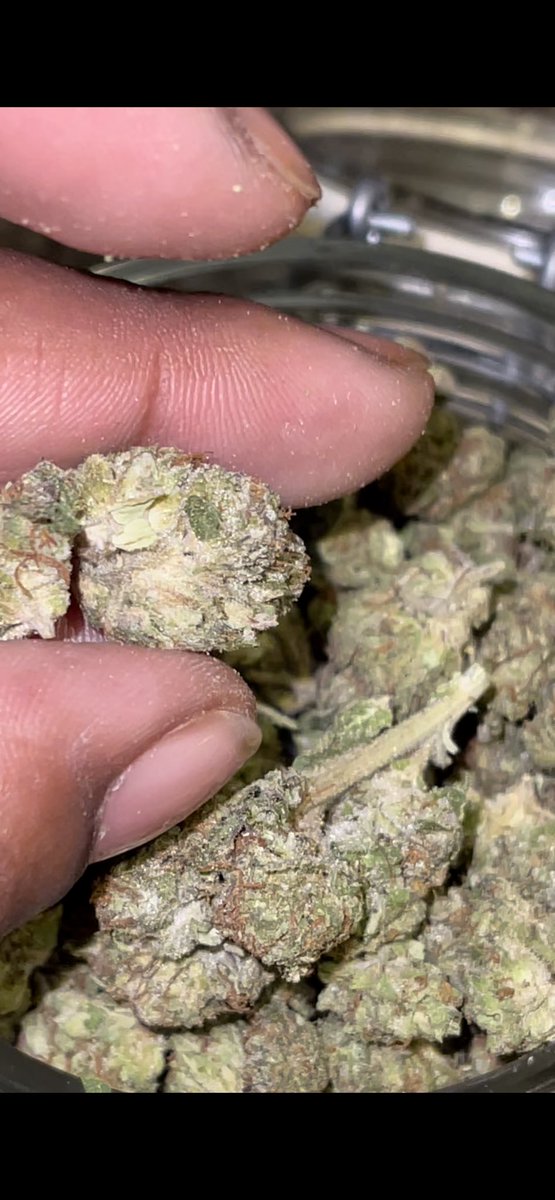 DallazKat's tweet photo. Y’all tap in this Gas goin fast asf. Treat yo lungs to only the best. #pressure #uptowndallas #gass https://t.co/xGH0qKCtAr