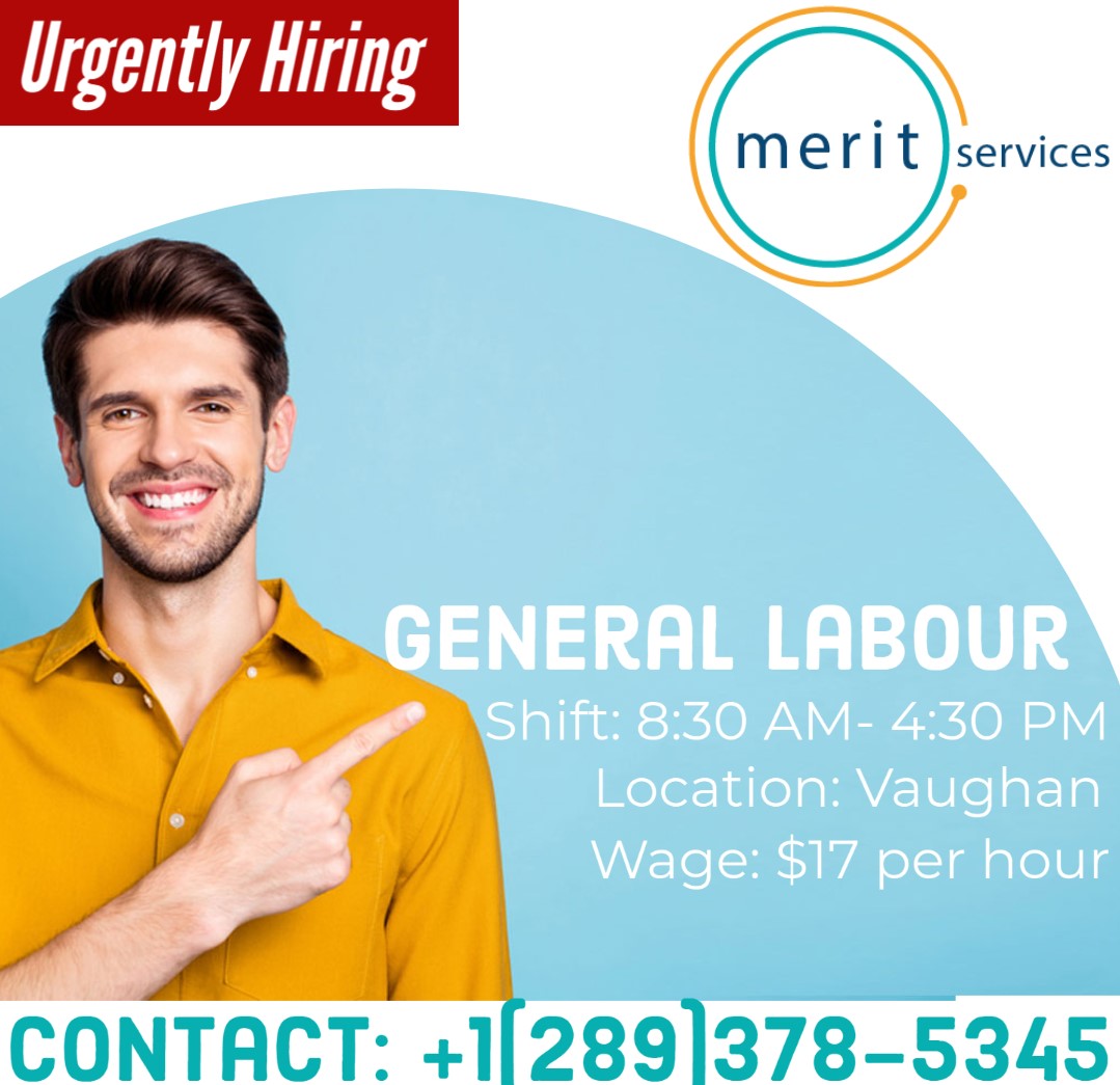 LtdMerit's tweet photo. General Labor: Merit Services is looking for General Labour in Vaughan for our client in Woodwork
Call: (289)378-5345 or Email: hr@meritservicesltd.ca
Location: Vaughan (Near Rutherford and Langstaff road)
#merit #meritservices #hiring #hiringupdates #employmentagency #staffing https://t.co/GdPhF4vCbT